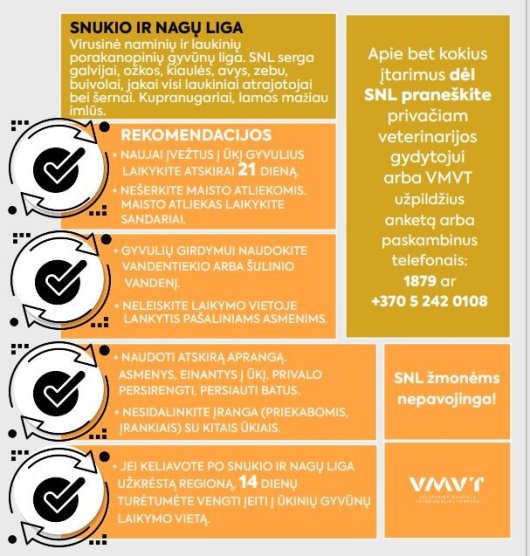 Mokymų naujienos