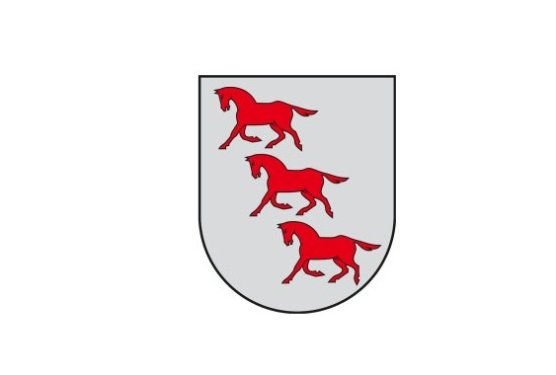 Mokymų naujienos