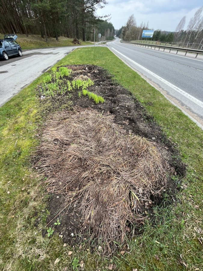 Kauno gatvės pabaigos želdynas anksčiau