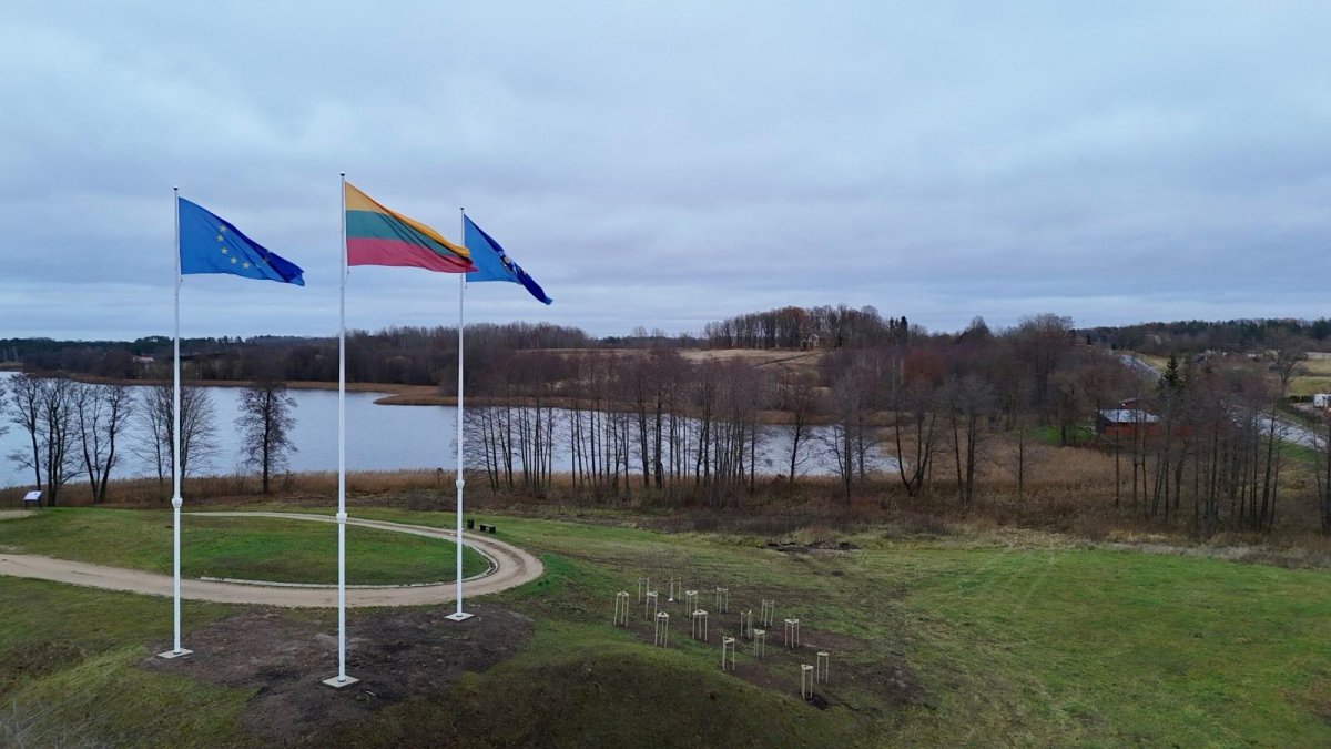 Įvažiuojančius iš Latvijos daba pasitinka trys vėliavos ir sakurų parkelis