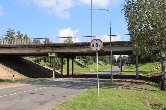 Naujienų migravimo testas