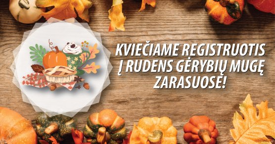 Naujienų migravimo testas