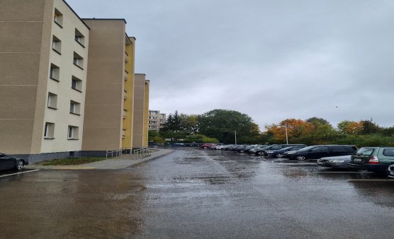 Naujienų migravimo testas