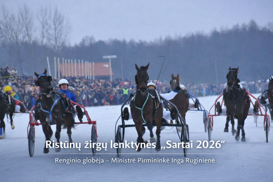 Naujienų migravimo testas