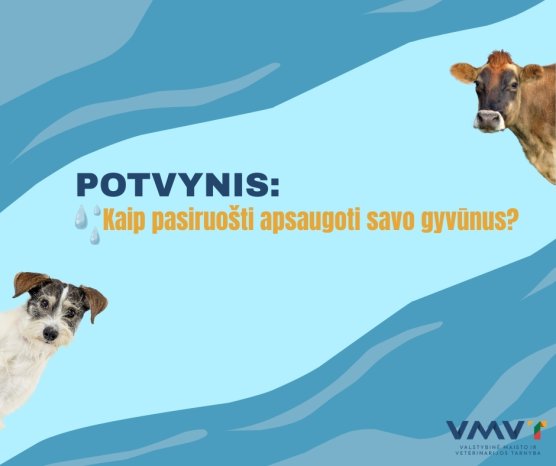 Naujienos