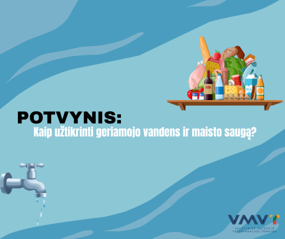 Naujienų migravimo testas