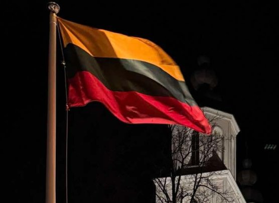 Naujienų migravimo testas