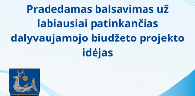 Balsavimas už labiausiai patinkančias dalyvaujamojo biudžeto projekto idėjas 