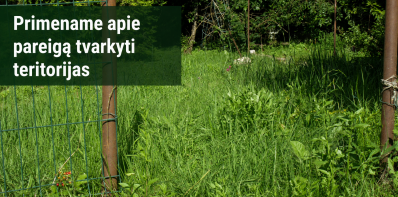 Pareiga prižiūrėti teritorijas ir atsakomybė už švaros taisyklių pažeidimus